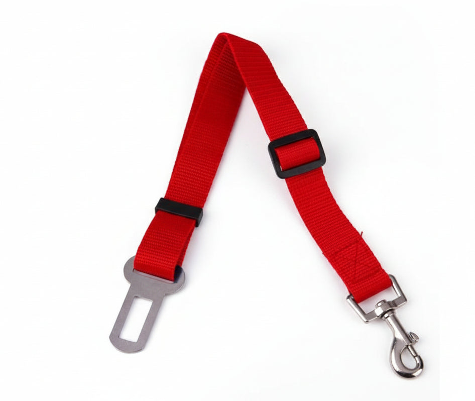 Adjustable Safety Seat Belt