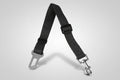 Adjustable Safety Seat Belt